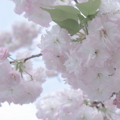 新泰FurryQQ群介绍